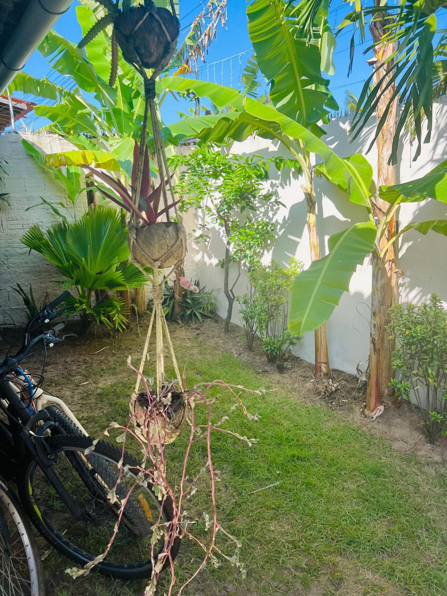 Kuki'S Hostel Praia de Pipa 外观 照片